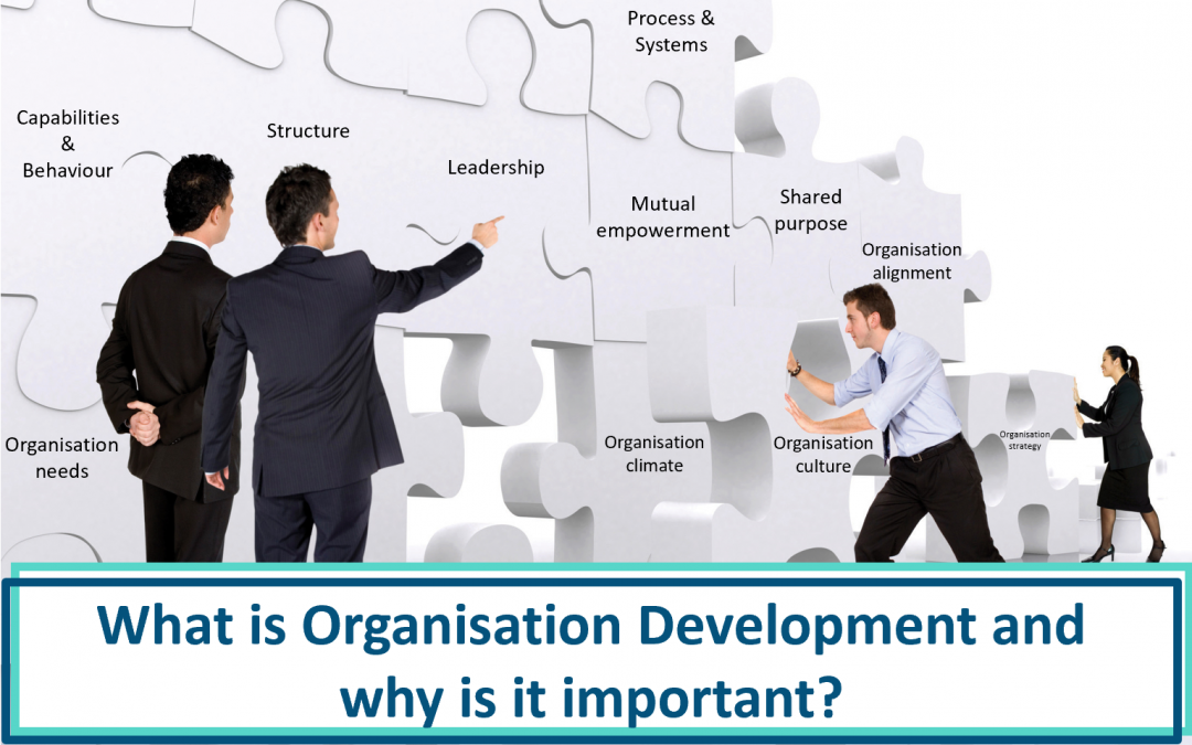 What is organisation development?